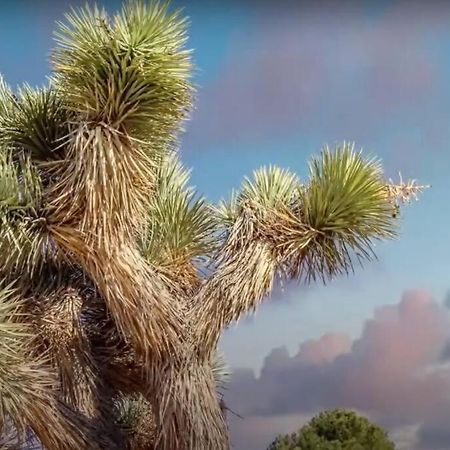 Three Tree Villa W/ Ev Charging Yucca Valley Buitenkant foto