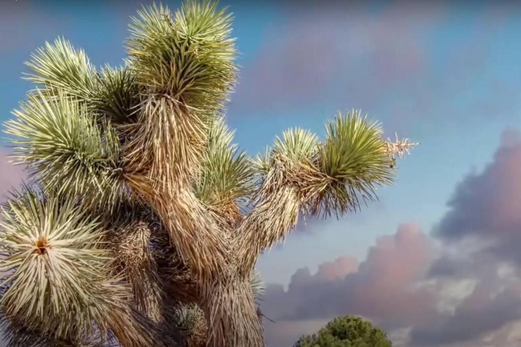 Three Tree Villa W/ Ev Charging Yucca Valley Buitenkant foto